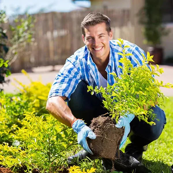 🏆 Limited Time Deal⭐75K+ SOLD🌳Soil Pro Activator