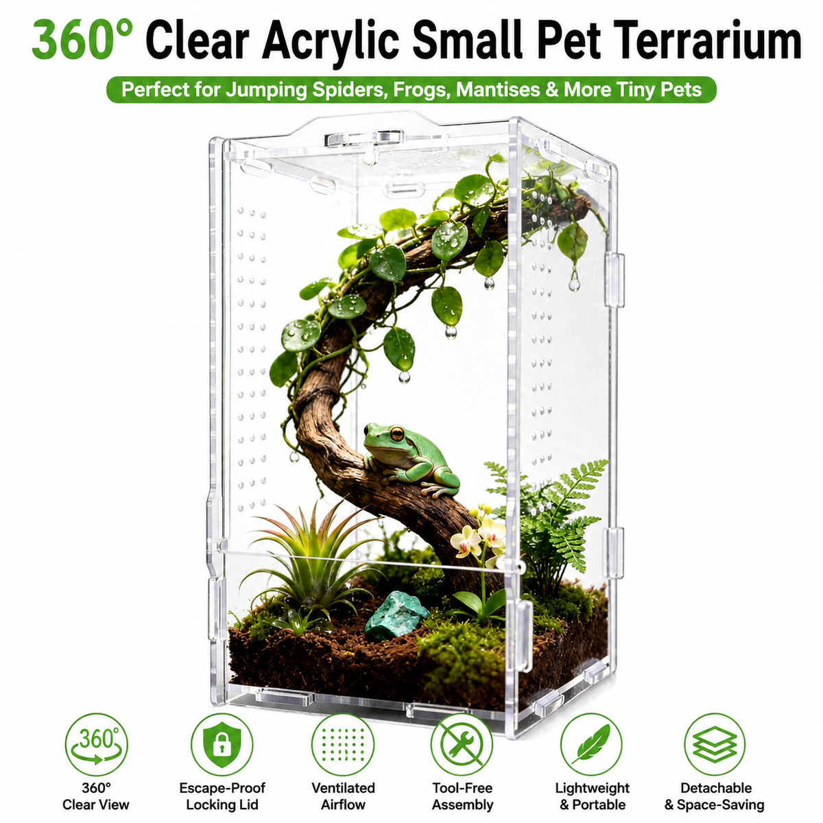 Acrylic insect breeding container