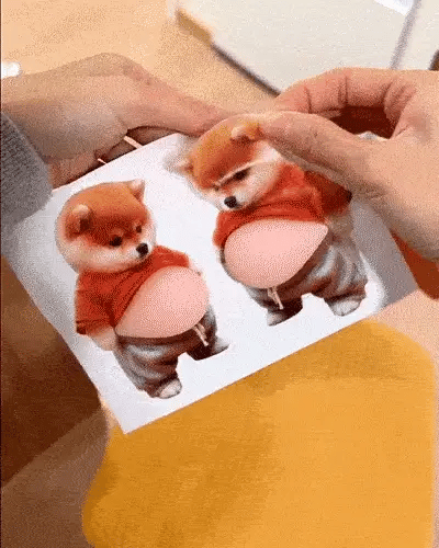 🏆⚡ 50K+ SOLD! 3D Cute Shiba Inu Self-Adhesive Door Stopper & Stress Ball(2 Pack )