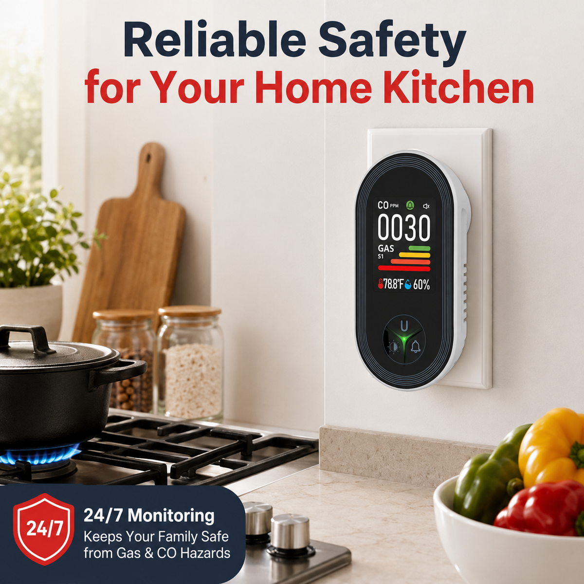 Combination Carbon Monoxide and Combustible Gas Detector