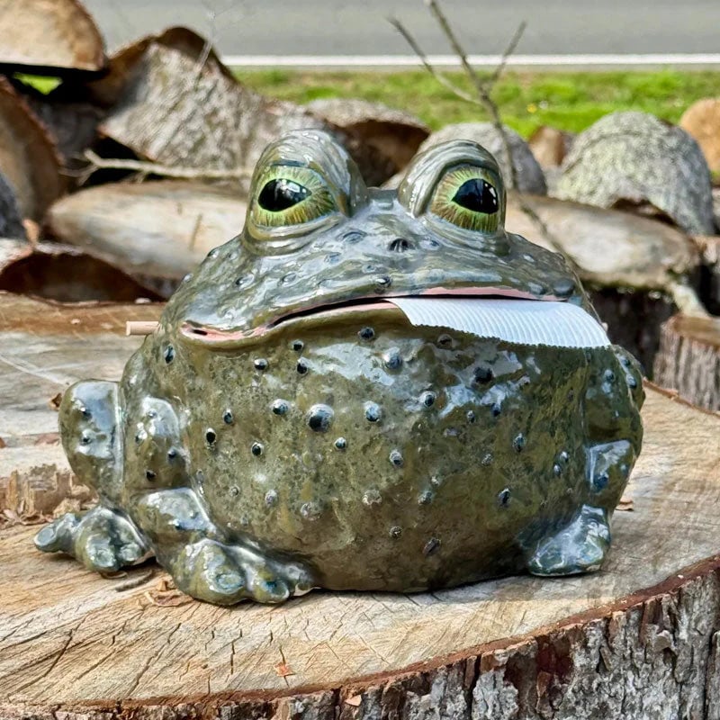 Funny Toad Tissue Holder🐸– Novelty Resin Tissue Box Cover for Home Decor