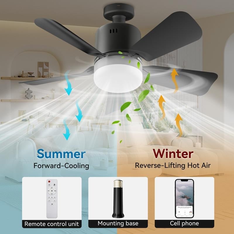 🔥Socket Fan Light with Remote