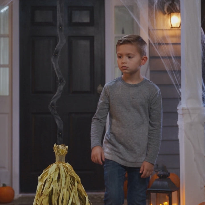 Animated Halloween Broom with Sound and LED Light