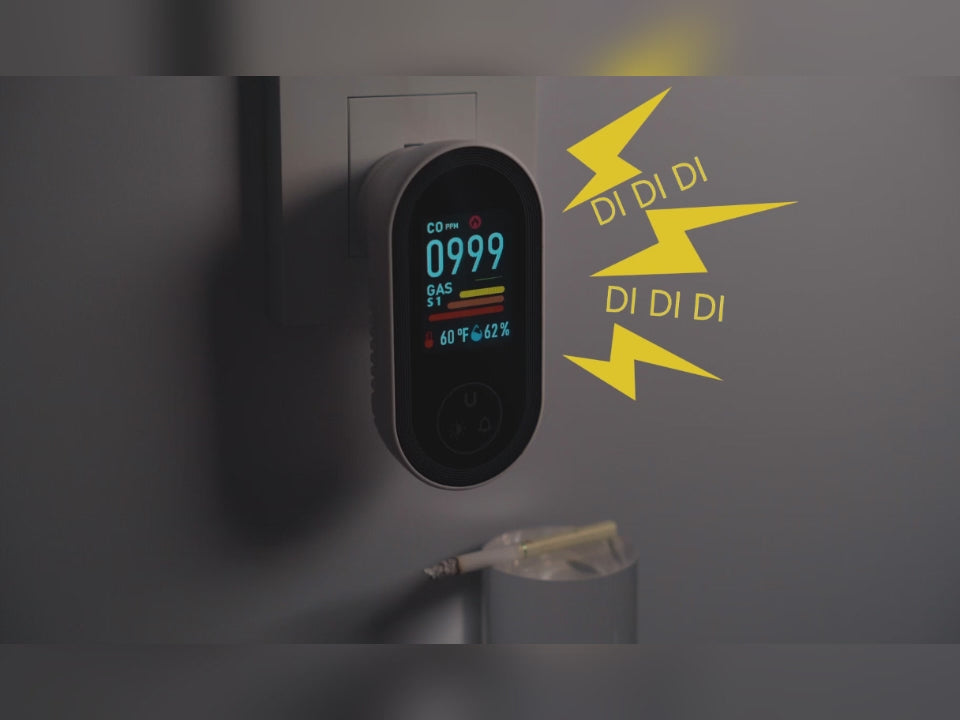 Combination Carbon Monoxide and Combustible Gas Detector